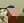 Avatar for merilin077